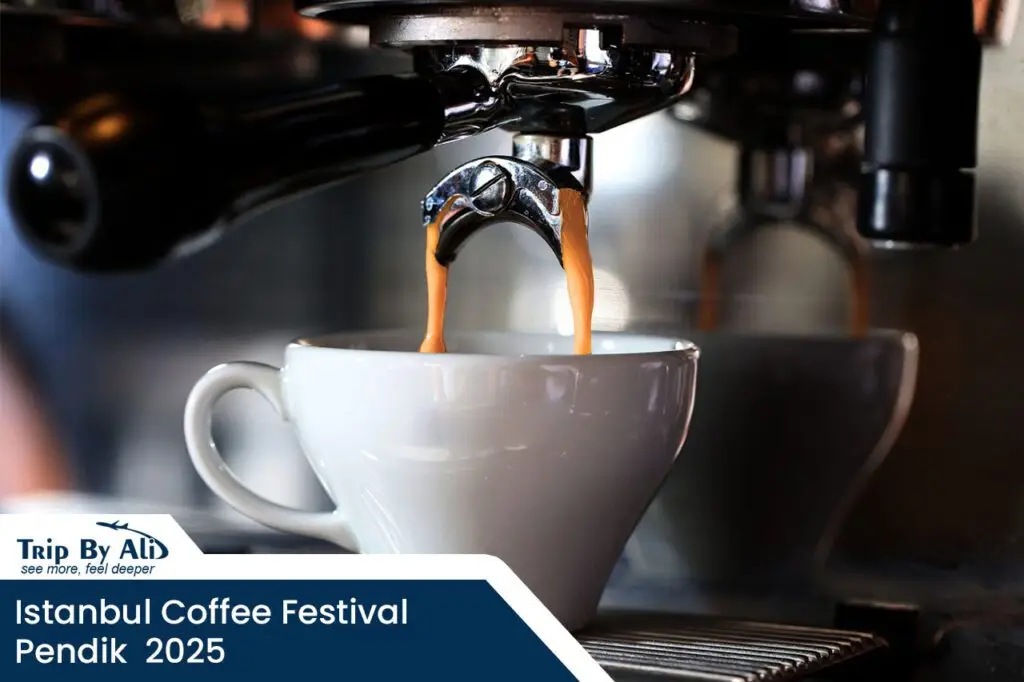 Istanbul Coffee Festival 2025 in Pendik Sahil: A Celebration of Coffee, Music, and Culture