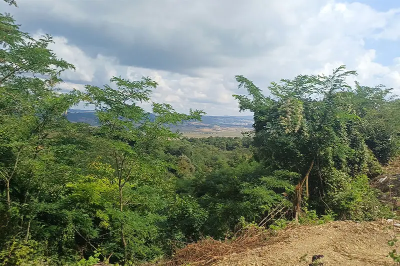 the Suleymaniye Mosque one of the biggest mosque in Istanbul