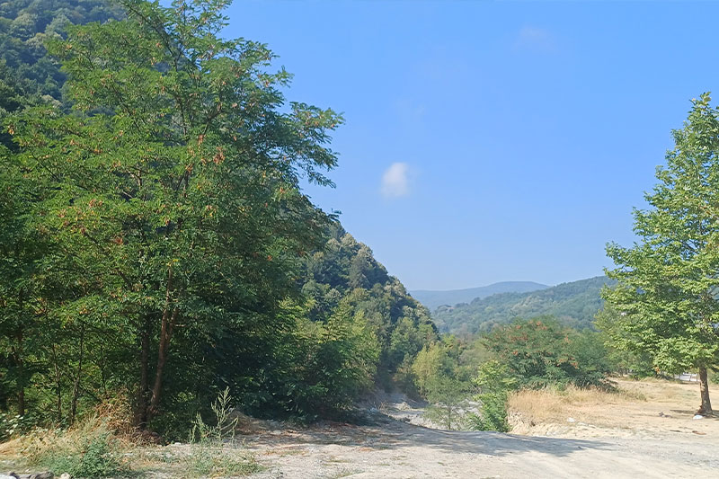 Forest spring stop on the Adapazarı–Akçay cycling route