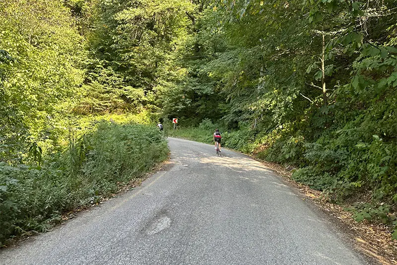 the Suleymaniye Mosque one of the biggest mosque in Istanbul