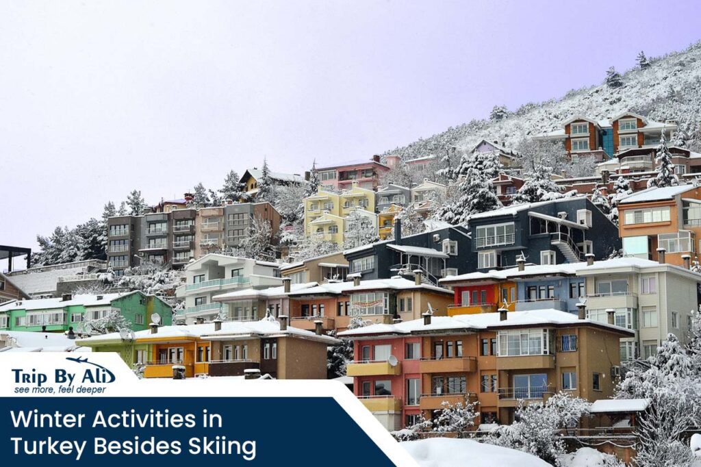 Winter Activities in Turkey Besides Skiing: What to Do in the Cold Season